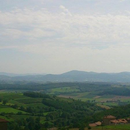 Ternand La Dame De Messignac 빌라 외부 사진